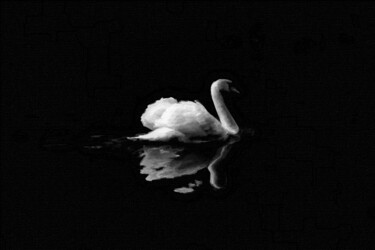 Ζωγραφική με τίτλο "Swan At Night" από Tony Rubino, Αυθεντικά έργα τέχνης, Ακρυλικό Τοποθετήθηκε στο Ξύλινο φορείο σκελετό