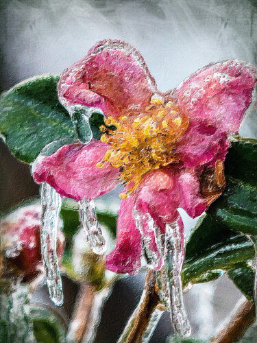 Картина под названием "Frozen Ice Flower" - Tony Rubino, Подлинное произведение искусства, Акрил Установлен на Деревянная ра…