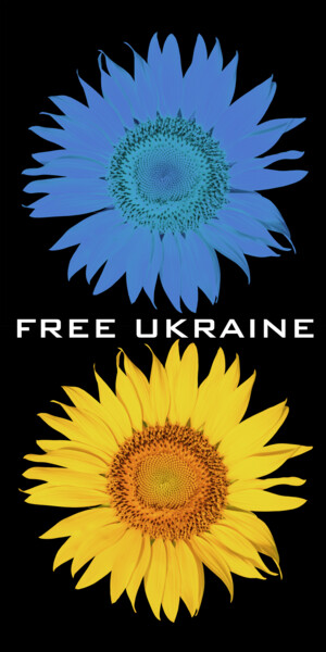 Painting titled "Support Ukraine 3 U…" by Tony Rubino, Original Artwork, Acrylic Mounted on Wood Stretcher frame