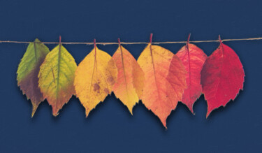Ζωγραφική με τίτλο "Line Of Autumn Fall…" από Tony Rubino, Αυθεντικά έργα τέχνης, Ακρυλικό Τοποθετήθηκε στο Ξύλινο φορείο σκ…