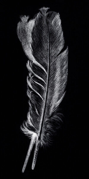Картина под названием "Feather Black" - Tony Rubino, Подлинное произведение искусства, Акрил Установлен на Деревянная рама д…