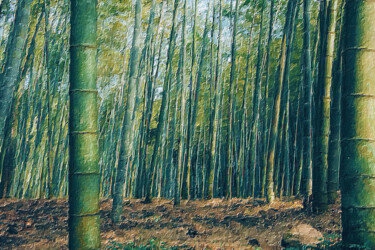 Картина под названием "Rubino Japan Japane…" - Tony Rubino, Подлинное произведение искусства, Акрил Установлен на Деревянная…