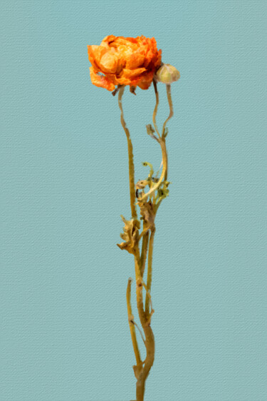 Pintura titulada "Dead Flower" por Tony Rubino, Obra de arte original, Acrílico Montado en Bastidor de camilla de madera