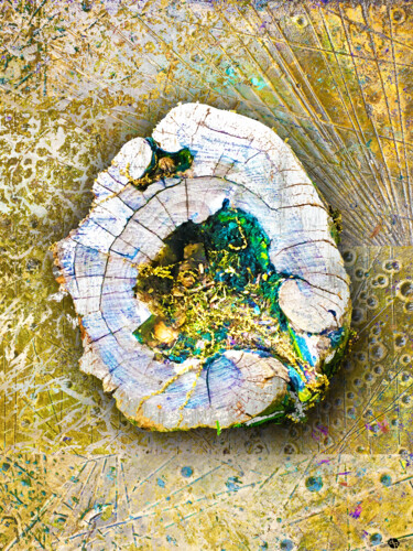 Painting titled "Earth Tree Stump" by Tony Rubino, Original Artwork, Acrylic Mounted on Wood Stretcher frame