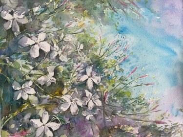 Painting titled "Jasmin au printemps" by Tony Szabo, Original Artwork, Watercolor