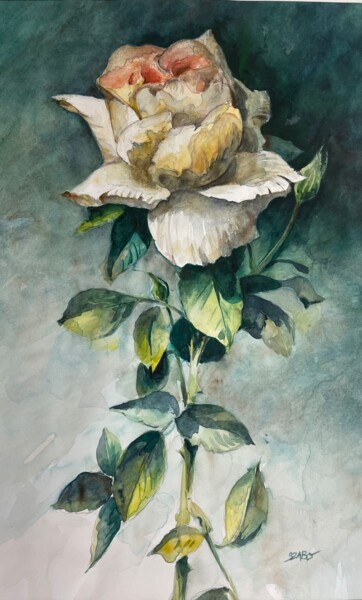 Malerei mit dem Titel "La rose…en Mai" von Tony Szabo, Original-Kunstwerk, Aquarell