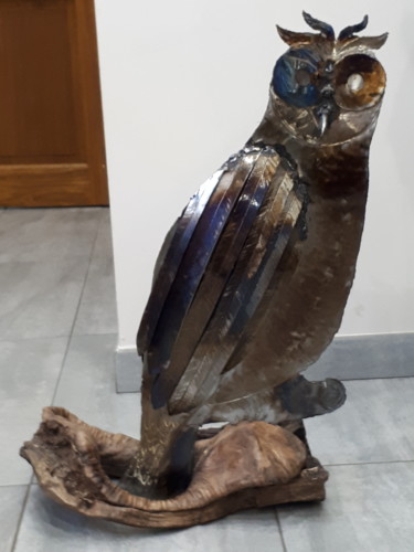 Sculpture intitulée "Hibou" par Antoine Cianchetti, Œuvre d'art originale