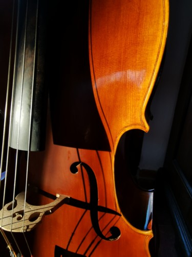 Photography titled "Violoncelle et ses…" by Michèle Tortissier, Original Artwork, Digital Photography