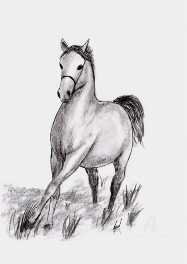 Drawing titled "cheval" by Serge Toulgoat, Original Artwork