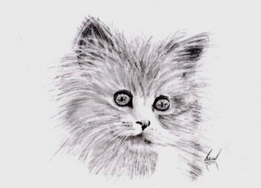 Dessin intitulée "le chat" par Serge Toulgoat, Œuvre d'art originale