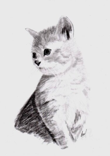 Dessin intitulée "le chaton" par Serge Toulgoat, Œuvre d'art originale