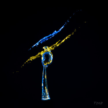 Photographie intitulée "N° 123 Sceptre cosm…" par Toxa, Œuvre d'art originale