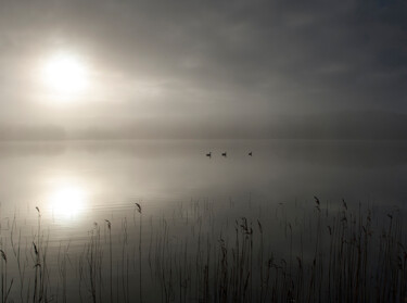 Φωτογραφία με τίτλο "Misty morning 3" από Trank, Αυθεντικά έργα τέχνης, Ψηφιακή φωτογραφία