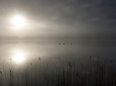 Fotografia intitulada "Misty morning 3" por Trank, Obras de arte originais, Fotografia digital