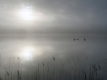 Photographie intitulée "Misty morning 8" par Trank, Œuvre d'art originale, Photographie numérique