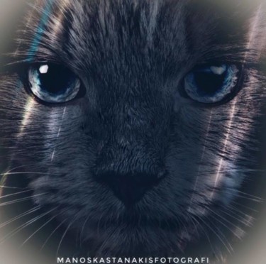 Fotografie mit dem Titel "CAT (in the dark li…" von Manos Kastanakis, Original-Kunstwerk, Manipulierte Fotografie