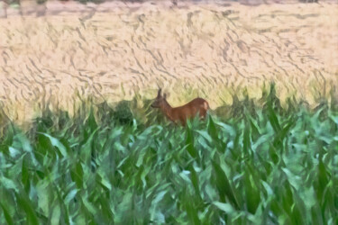 Photographie intitulée "small deer foraging…" par Trimidi, Œuvre d'art originale, Photographie numérique