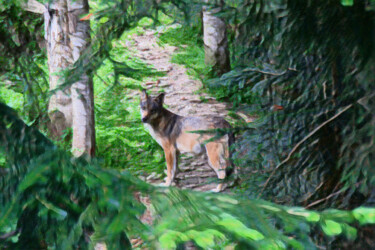 Fotografie getiteld "Wolf in de struiken" door Trimidi, Origineel Kunstwerk, Digitale fotografie