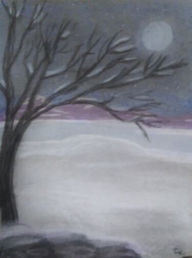 Desenho intitulada "Moonlit Snow" por Trina Cameron, Obras de arte originais, Pastel