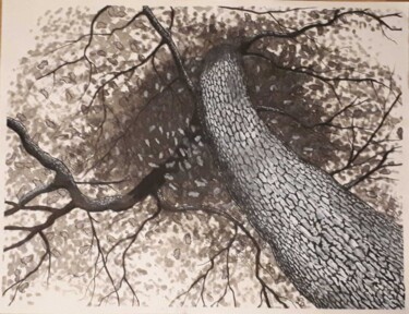 Dessin intitulée "Le Chêne" par Tristan Ligen, Œuvre d'art originale, Encre
