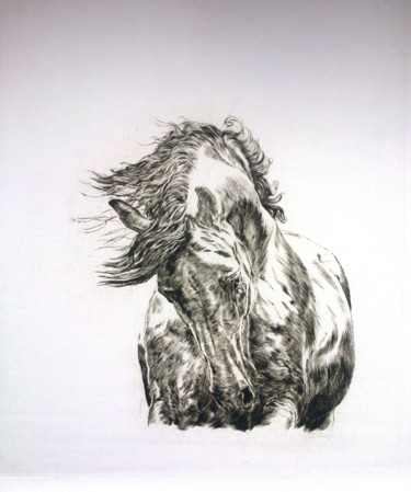 Gravures & estampes intitulée "Horse #artistsuppor…" par Katerina Evgenieva, Œuvre d'art originale, Gravure