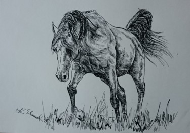 Drawing titled "Horse 13" by Katerina Evgenieva, Original Artwork, Ink