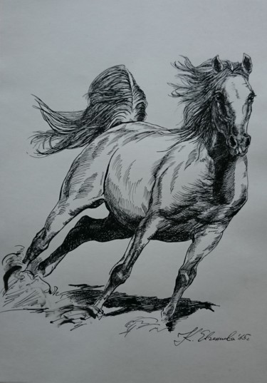 Tekening getiteld "Horse 12" door Katerina Evgenieva, Origineel Kunstwerk