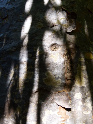 Photographie intitulée "Templier.jpg" par Troniou, Œuvre d'art originale