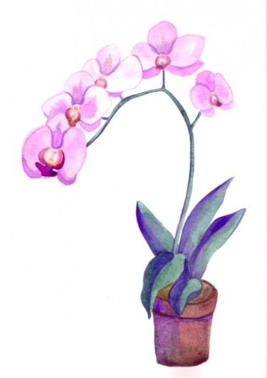 Peinture intitulée "Orchidée" par Troniou, Œuvre d'art originale, Huile