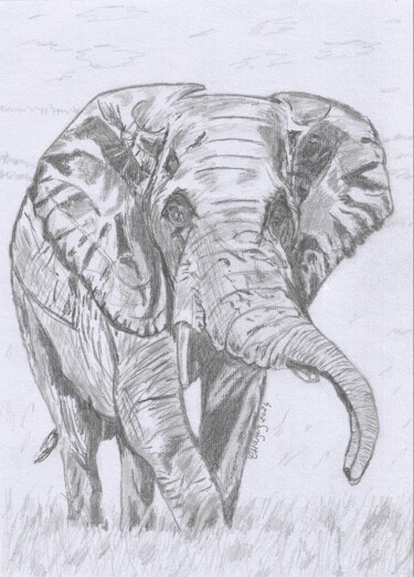 Dibujo titulada "Eléphant" por Christelle Hayez, Obra de arte original, Lápiz