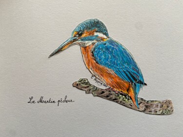 Drawing titled "Martin pêcheur" by Christelle Hayez, Original Artwork, Pencil