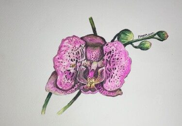 Drawing titled "Orchidée" by Christelle Hayez, Original Artwork, Watercolor