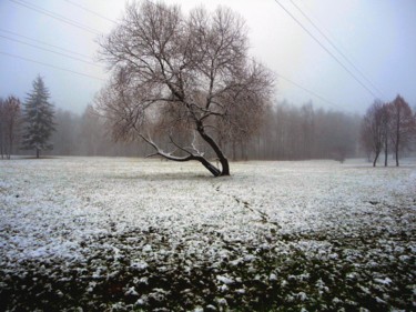 Фотография под названием "Зимний пейзаж в пар…" - Наталья Трошина, Подлинное произведение искусства, Не манипулируемая фотог…