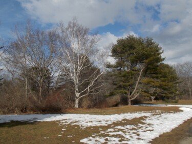 Fotografia intitulada "Maine in Winter" por Troy Wilson-Ripsom, Obras de arte originais, Fotografia digital