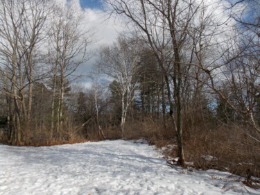 Photography titled "Snowy Path" by Troy Wilson-Ripsom, Original Artwork, Digital Photography