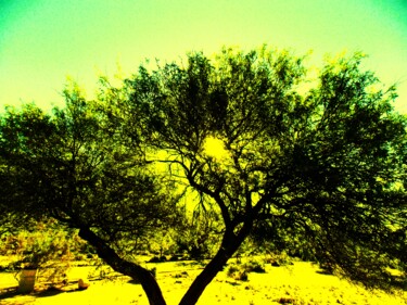 Fotografie getiteld "Desert Yellow" door Troy Wilson-Ripsom, Origineel Kunstwerk, Digitale fotografie