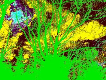 Fotografia zatytułowany „Negative Forest” autorstwa Troy Wilson-Ripsom, Oryginalna praca, Fotografia cyfrowa
