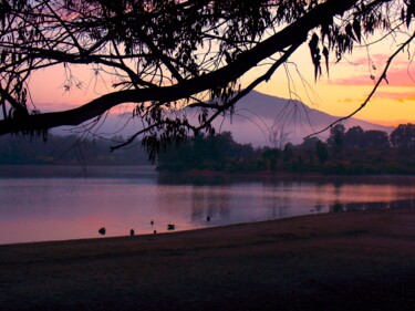 Fotografie mit dem Titel "San Diego Pond" von Troy Wilson-Ripsom, Original-Kunstwerk, Digitale Fotografie