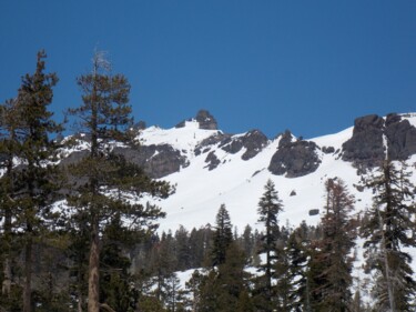 Fotografia zatytułowany „Sierra Snow” autorstwa Troy Wilson-Ripsom, Oryginalna praca, Fotografia cyfrowa