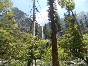 Fotografia intitulada "Bridalveil Falls 4" por Troy Wilson-Ripsom, Obras de arte originais, Fotografia digital