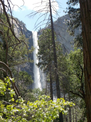 Фотография под названием "Bridalveil Falls 3" - Troy Wilson-Ripsom, Подлинное произведение искусства, Цифровая фотография