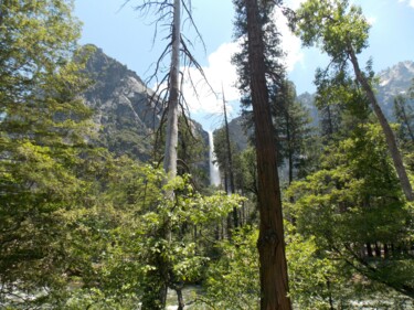 Fotografia intitulada "Bridalveil Falls 1" por Troy Wilson-Ripsom, Obras de arte originais, Fotografia digital