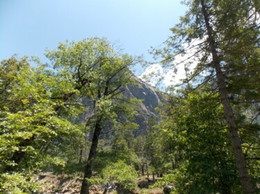 Fotografía titulada "Lush Yosemite 4" por Troy Wilson-Ripsom, Obra de arte original, Fotografía digital