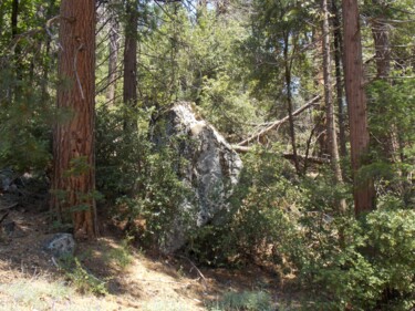 Photographie intitulée "Lush Yosemite 5" par Troy Wilson-Ripsom, Œuvre d'art originale, Photographie numérique