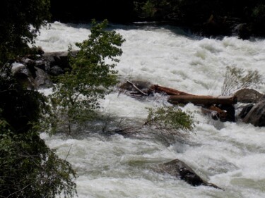 Fotografía titulada "Yosemite Whitewater…" por Troy Wilson-Ripsom, Obra de arte original, Fotografía digital