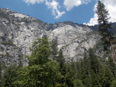 Fotografía titulada "Walls of Yosemite" por Troy Wilson-Ripsom, Obra de arte original, Fotografía digital