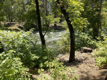 Fotografie mit dem Titel "Yosemite Runoff 1" von Troy Wilson-Ripsom, Original-Kunstwerk, Digitale Fotografie