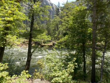 Photographie intitulée "Yosemite Runoff 7" par Troy Wilson-Ripsom, Œuvre d'art originale, Photographie numérique