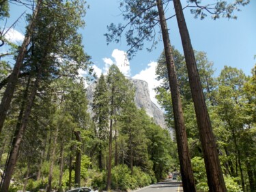 Fotografia intitulada "Yosemite Valley Vie…" por Troy Wilson-Ripsom, Obras de arte originais, Fotografia digital