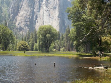 Photographie intitulée "Yosemite Zen 1" par Troy Wilson-Ripsom, Œuvre d'art originale, Photographie numérique
